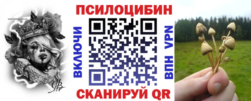 hydra зеркало  Барабинск  Псилоцибиновые грибы мухоморы  даркнет сайт 